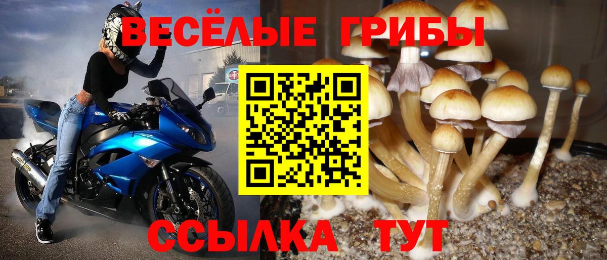 Галлюциногенные грибы ЛСД Бугульма