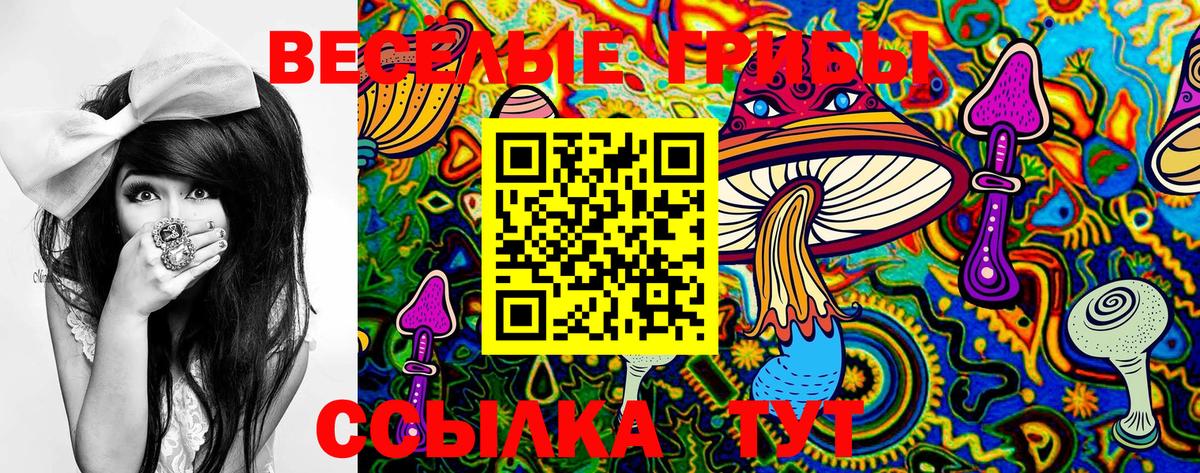 Псилоцибиновые грибы Psilocybe  Вход с VPN  Бугульма  Псилоцибиновые грибы Psilocybine cubensis 